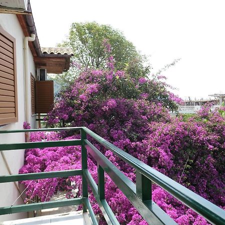 דרמי Villa Marko מראה חיצוני תמונה